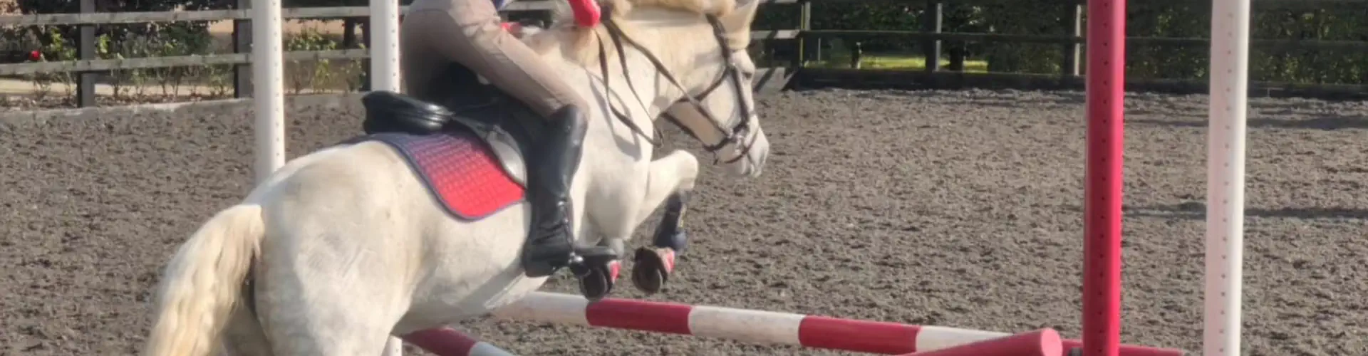 Chiddingfold Pony Club
