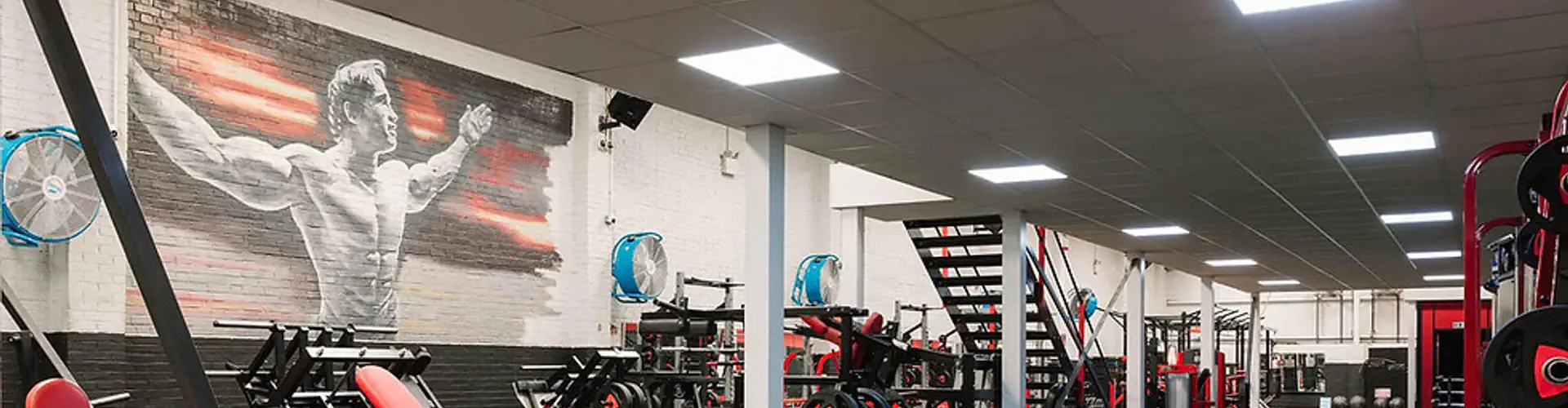 Ab Salute Gym