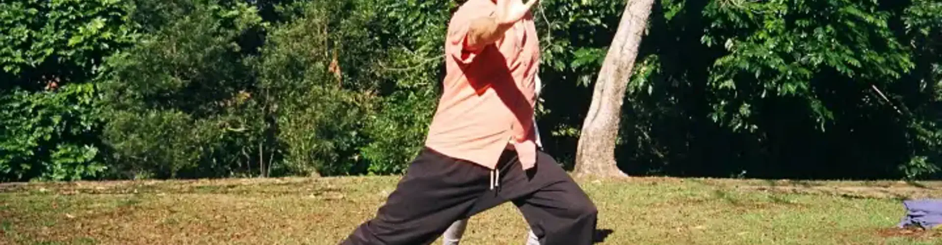 5 Element Qigong Sifu Henri-noel Venturini