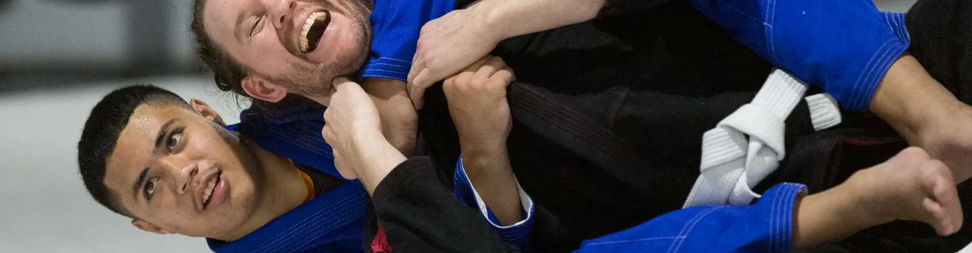 Mixed Martial Arts MMA Classes for All Fitness Levels