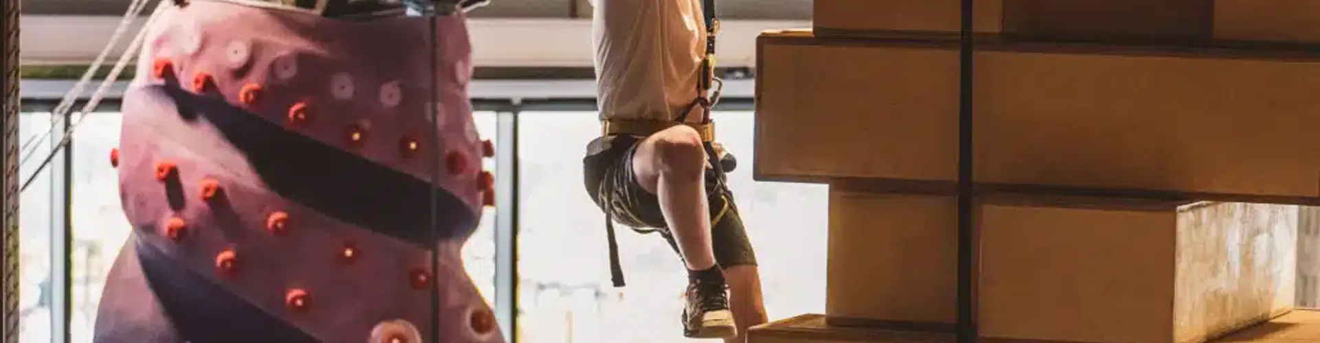 Crazy Climb Party