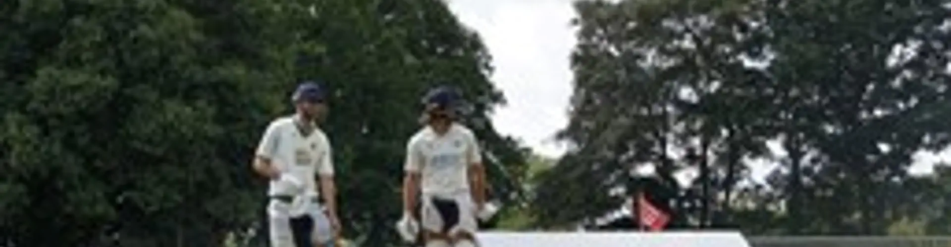 West Bergholt Cricket Club