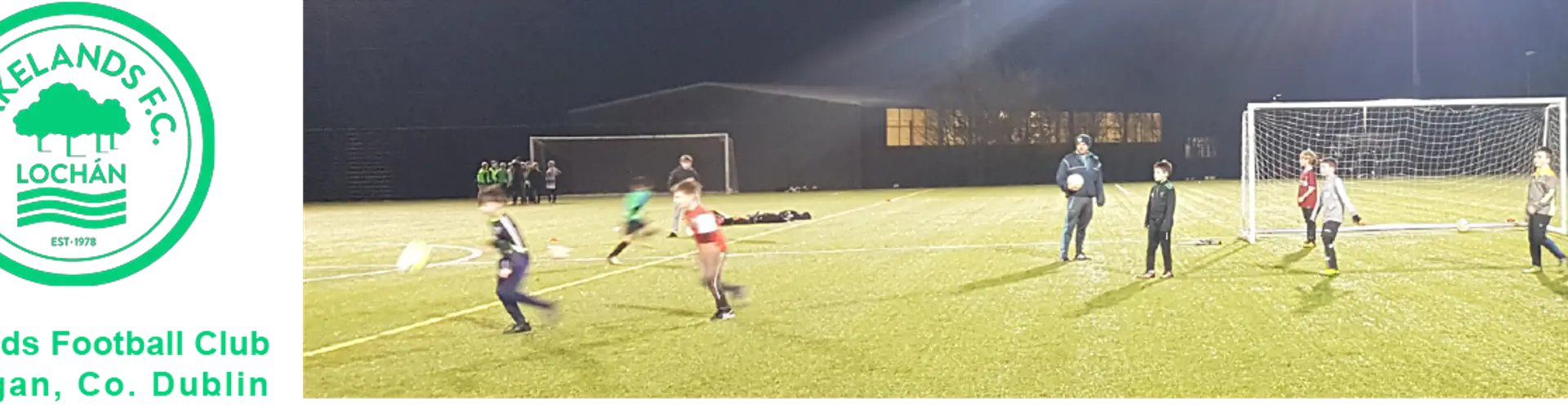 Lakelands FC Marlay Park Pitch 1