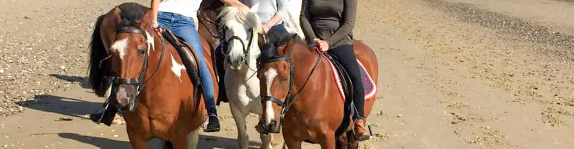 Sally's Riding School