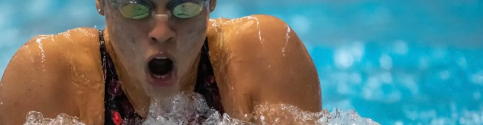 Flamingo Swim School Ltd