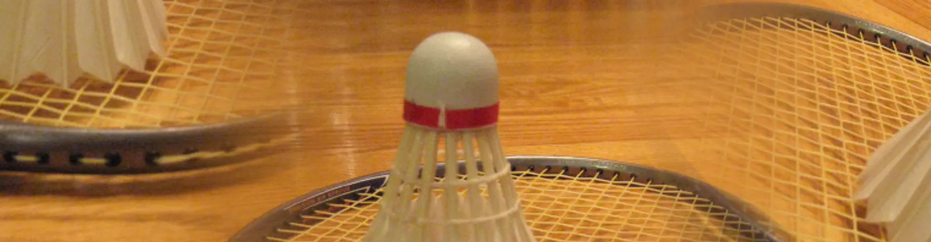 Abbotsford Badminton Club