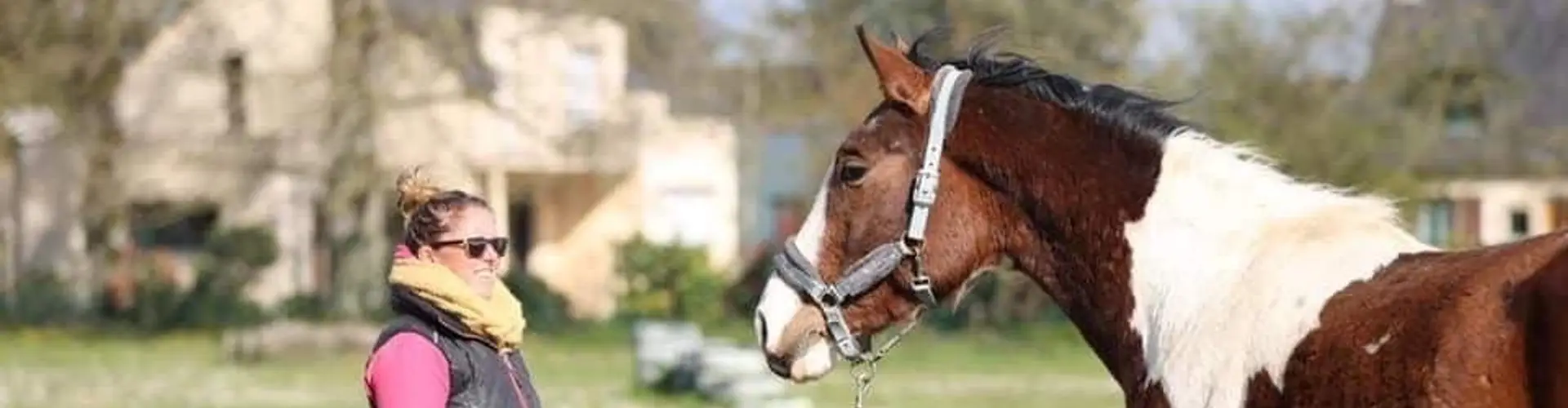 Les Chevaux Du Bel Air