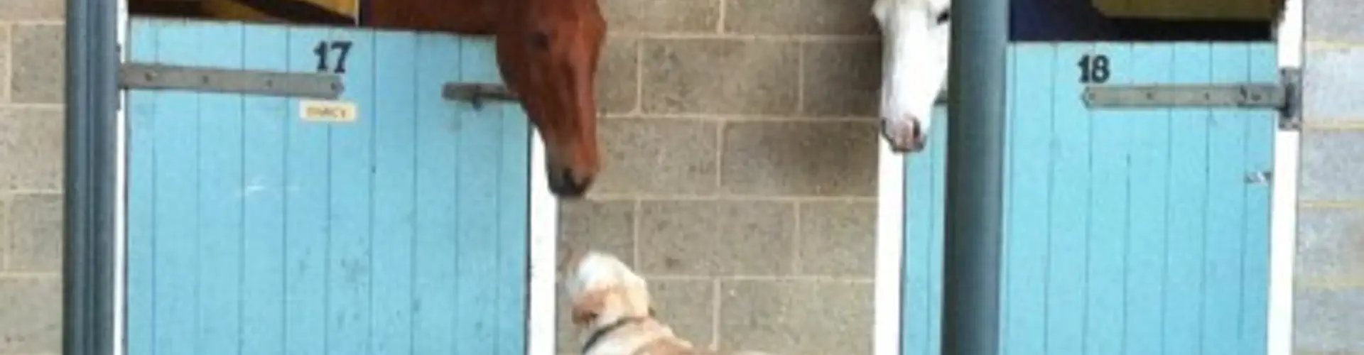 Cackets Farm Livery Yard