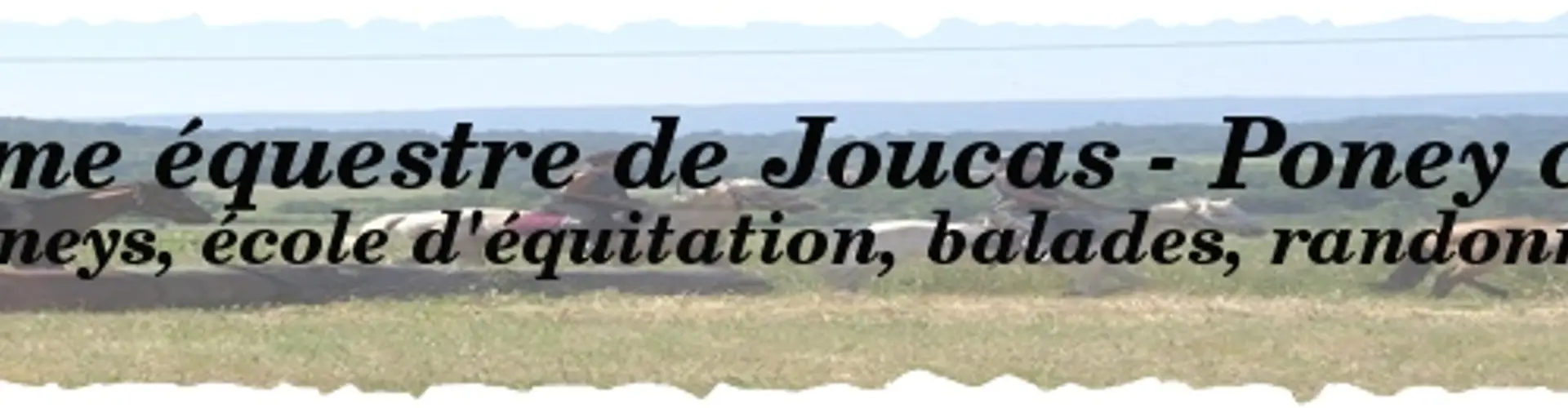 Horse Farm De Joucas