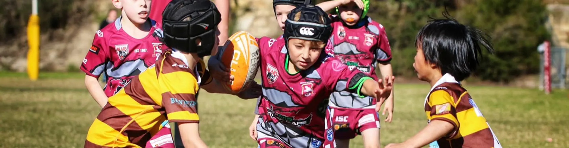 Berowra Wallabies Junior Rugby League Football Club