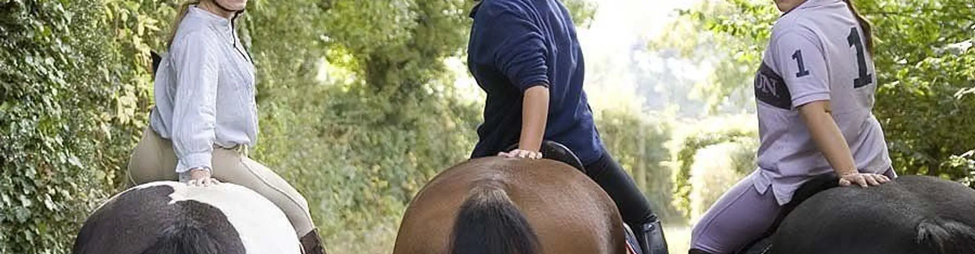 Grove Farm Riding School