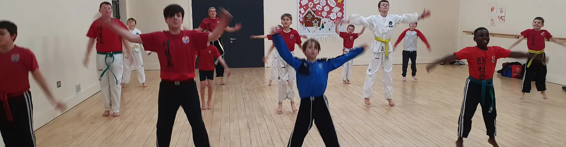 Vanguard Martial Arts