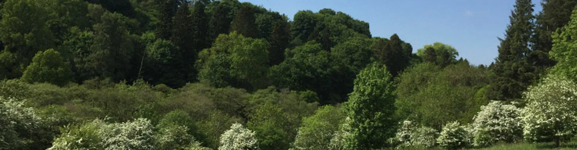 Vogrie Country Park