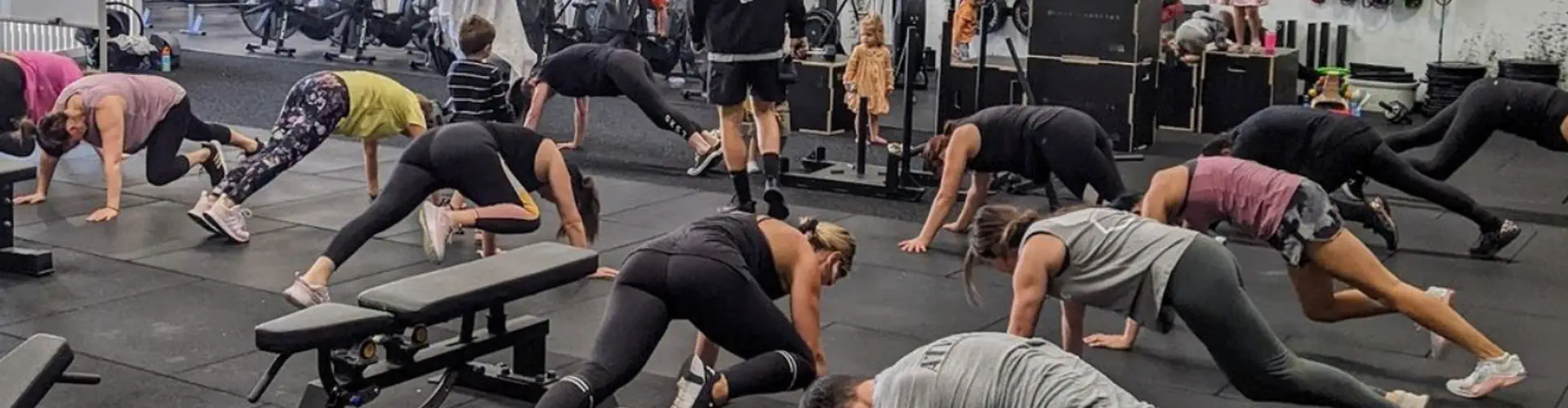 The Hive Gym