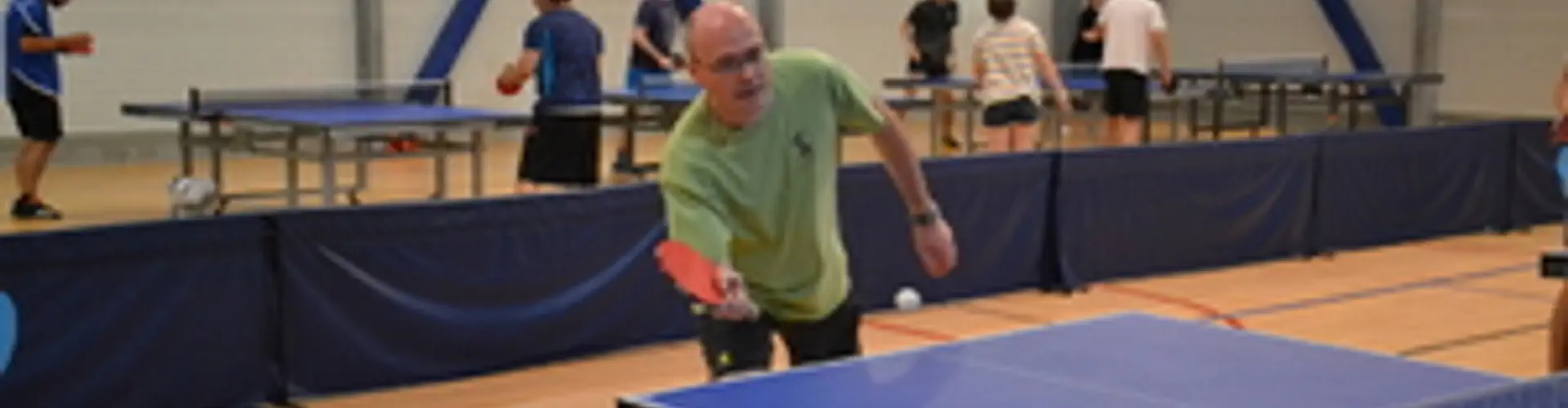 tennis de table du plessis robinson