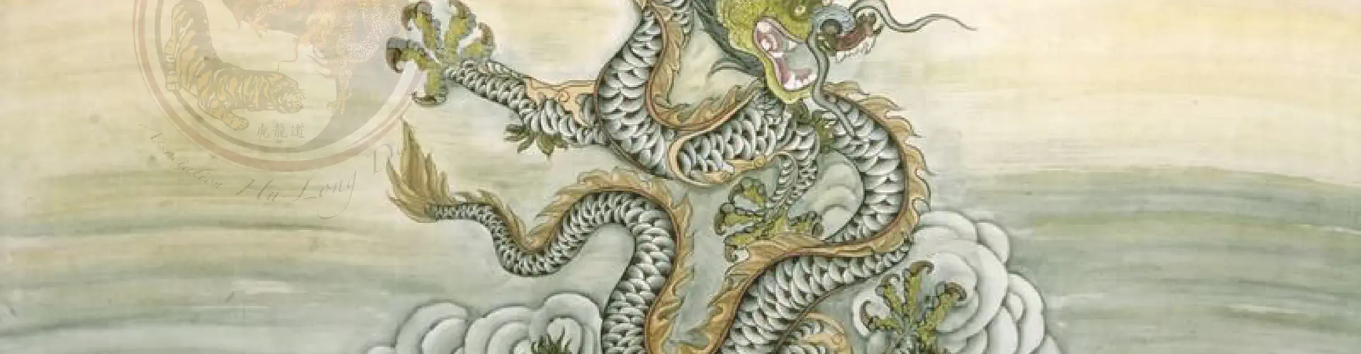 Hu Long Dao - Taiji Quan / Kung Fu - Arts Martiaux Chinois