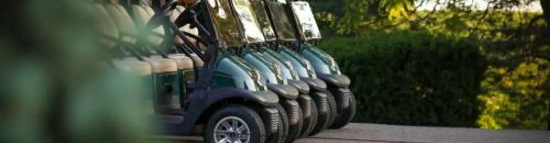 2024 Ladies Golf League
