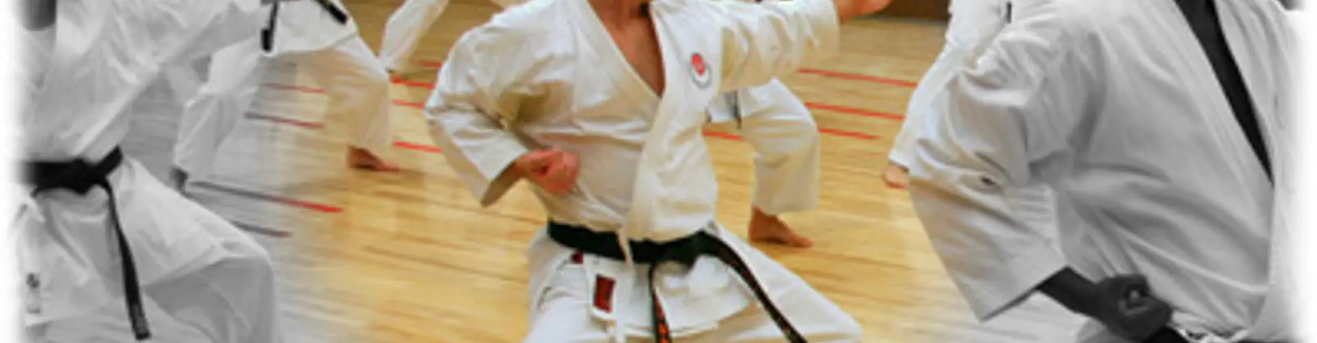Karate Club Shotokan De Sainte-Foy