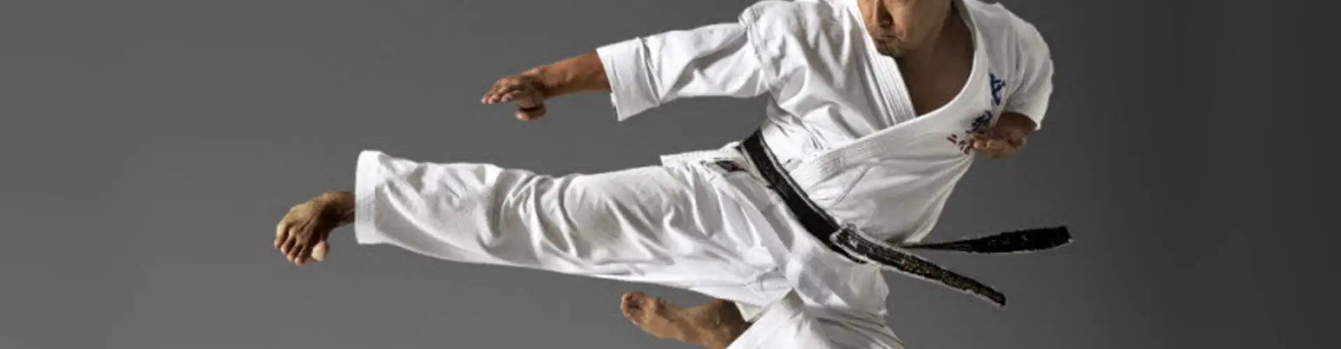 Seido Karate Dover