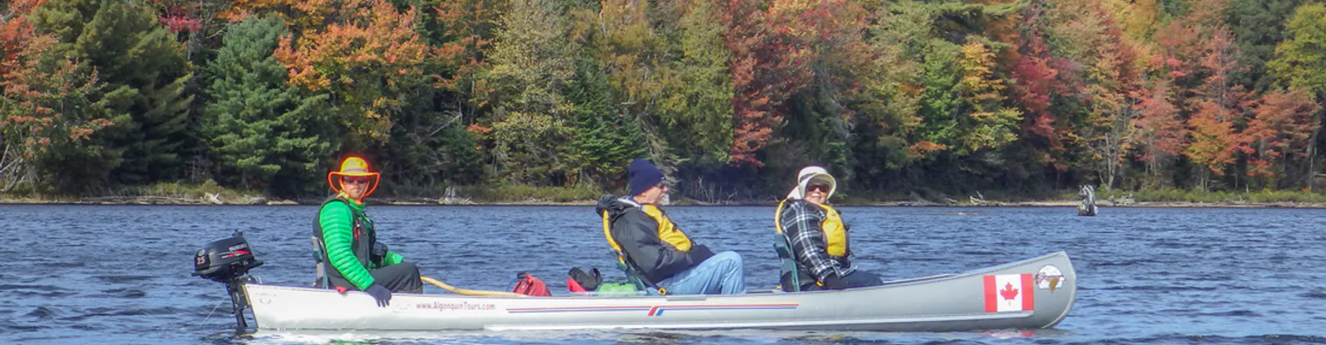 Algonquin Park 3h Guided VIP Electric Canoe Day Trip Photography Tour