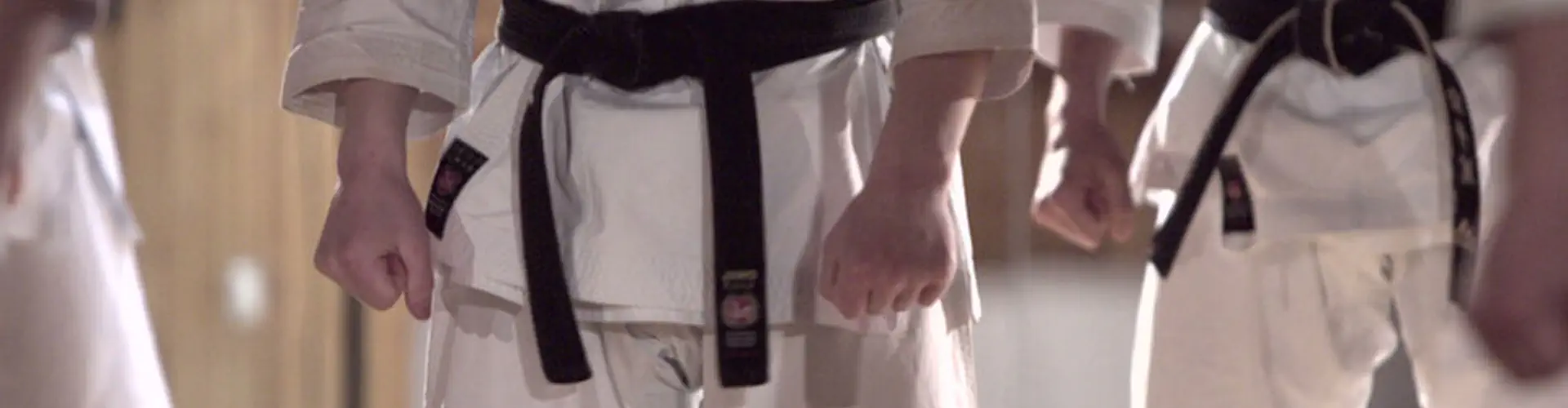 Yoseikan Karate Association