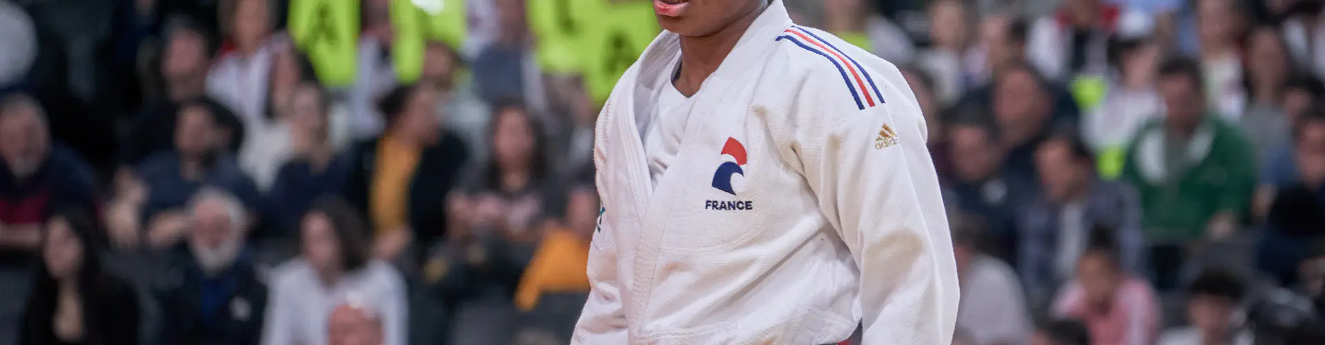Dojo Départemental