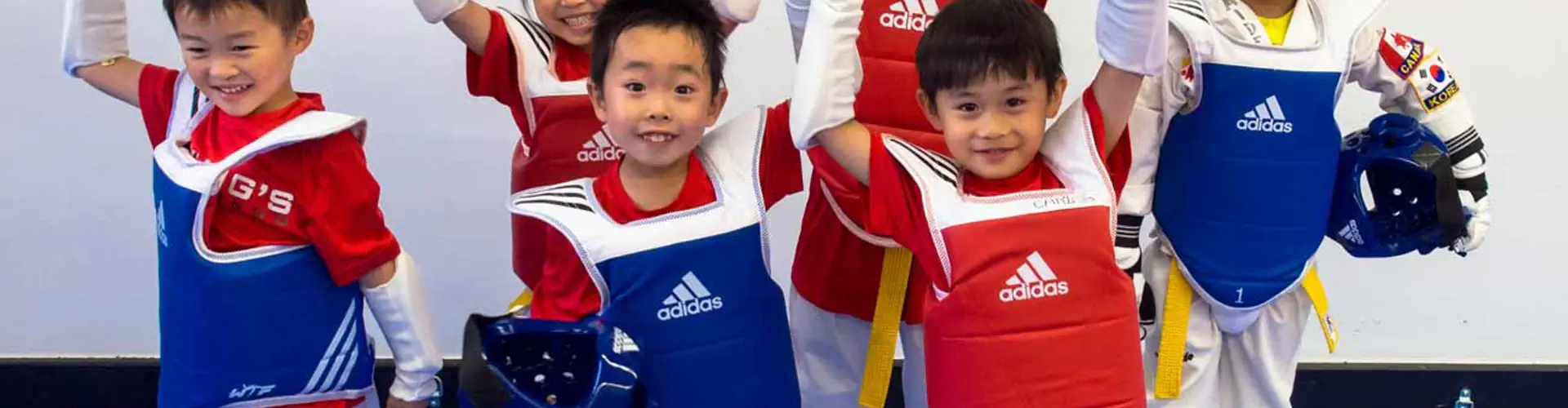 Master Myungs Taekwondo Acadamy