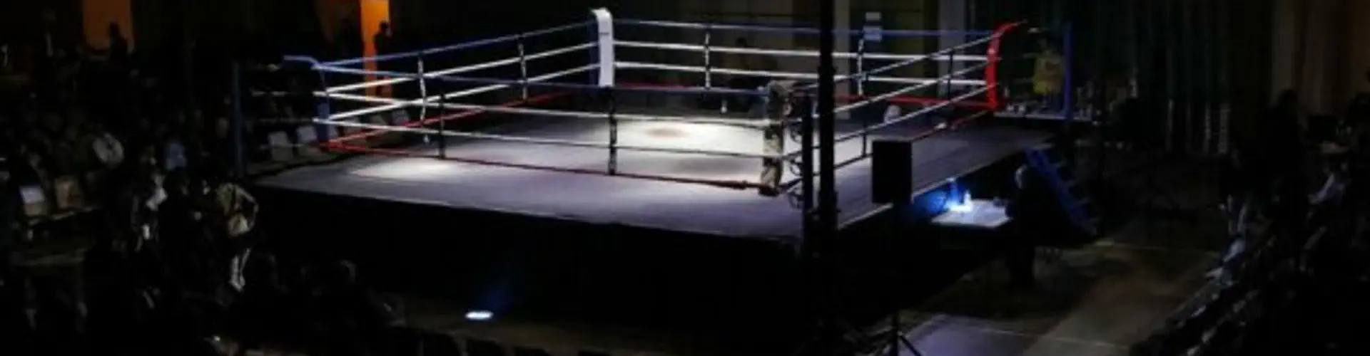 Chelles Boxing Club I Gym Marie-Amelie Le Fur À La Noue Brossard