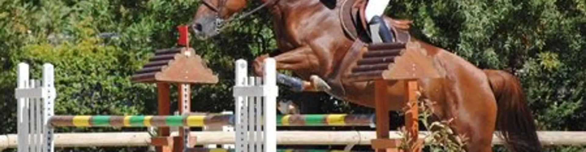 CENTRE EQUESTRE PAS DES LANCIERS