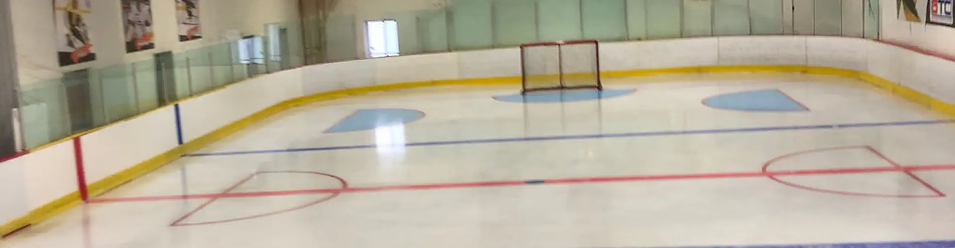 Grainger Training Centre (Goalie and Player Hockey School)