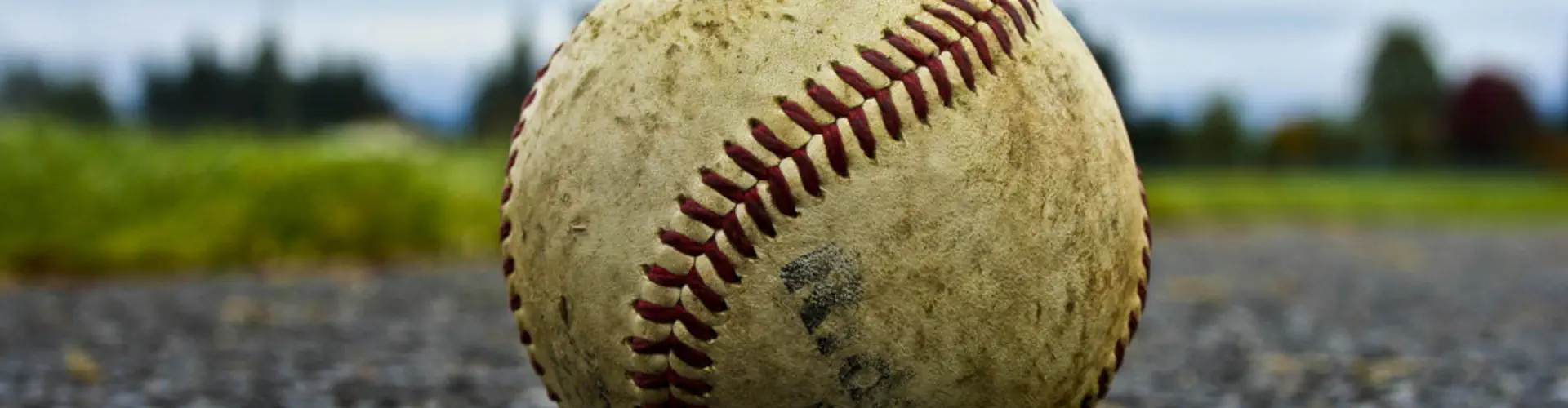 Royal York Baseball