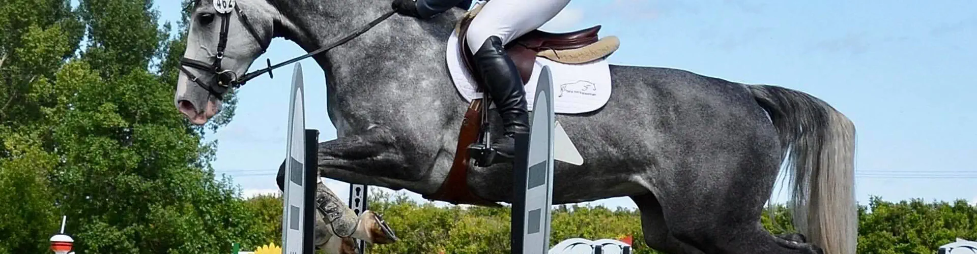 Take off equestrian