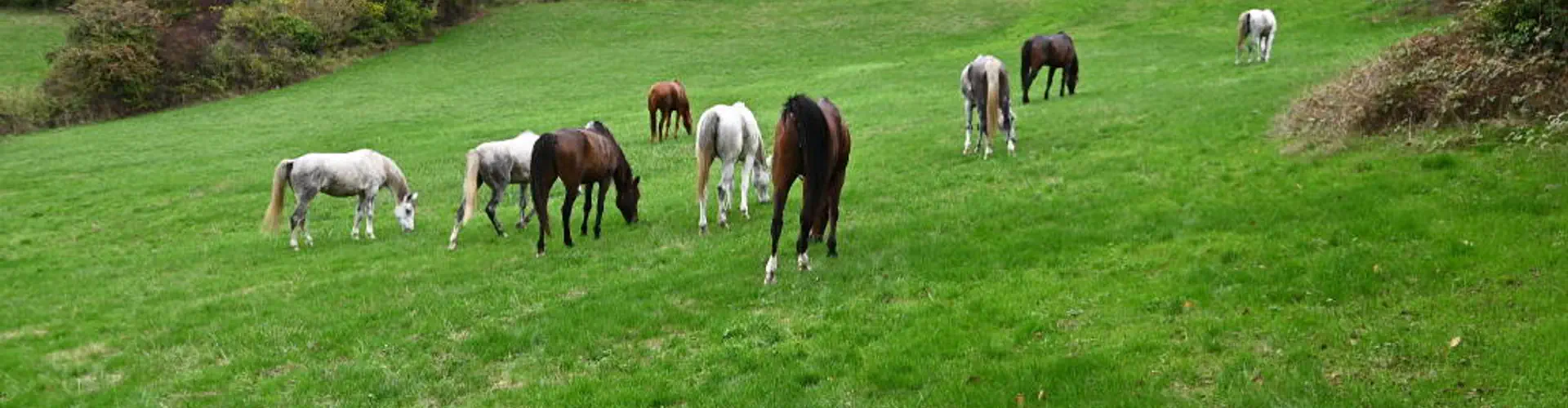 Randonnée liberté dans le Morvan