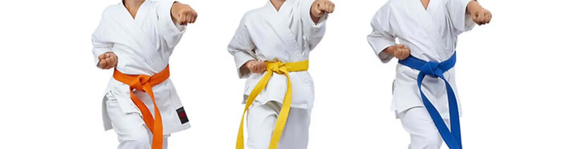 Evolution Karate Academy