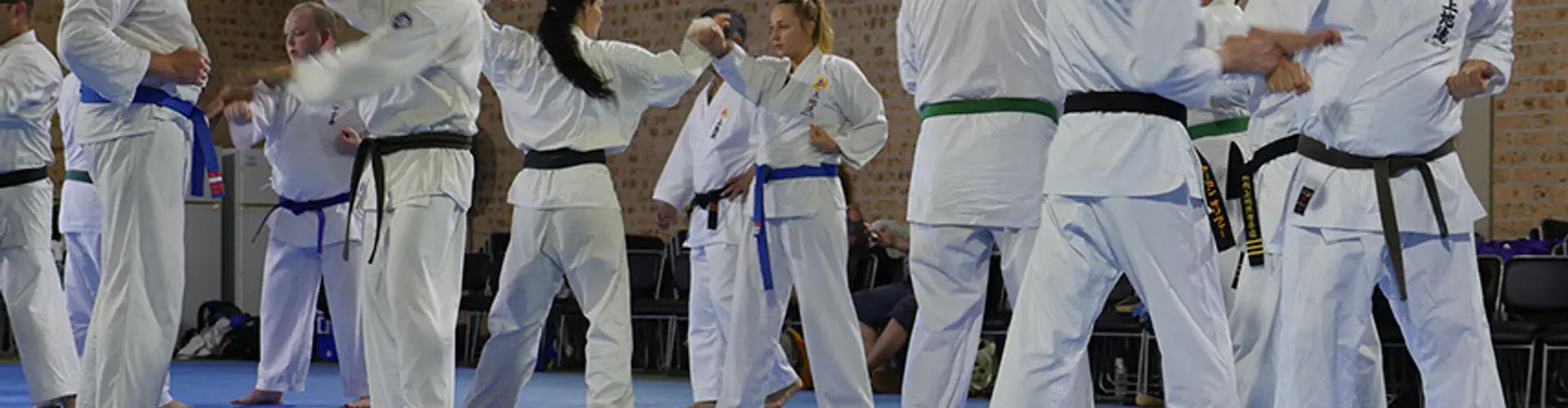 Uechi Ryu Karate Do Australia