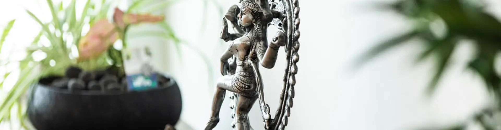 Vinyasa Yoga Teacher Training