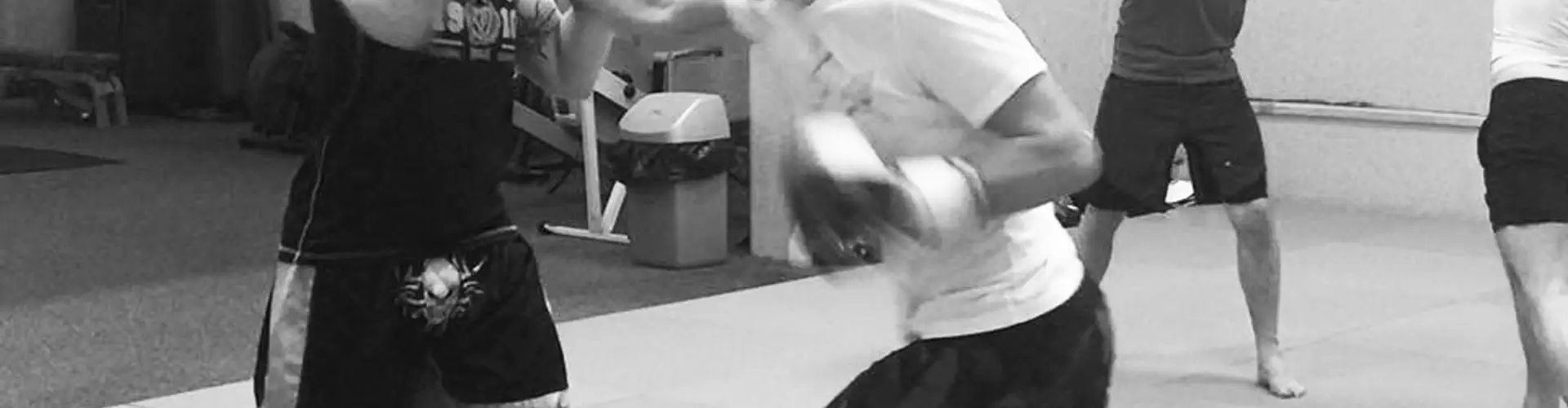 Fu Dog Martial Arts