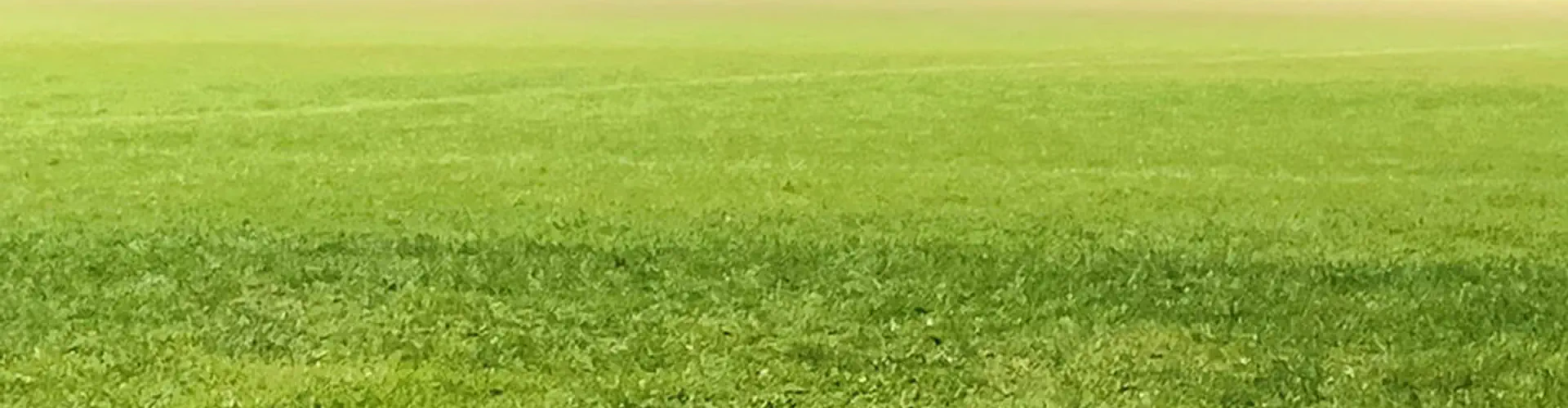 Kumeu Rugby Football and Sports Club Incorporated