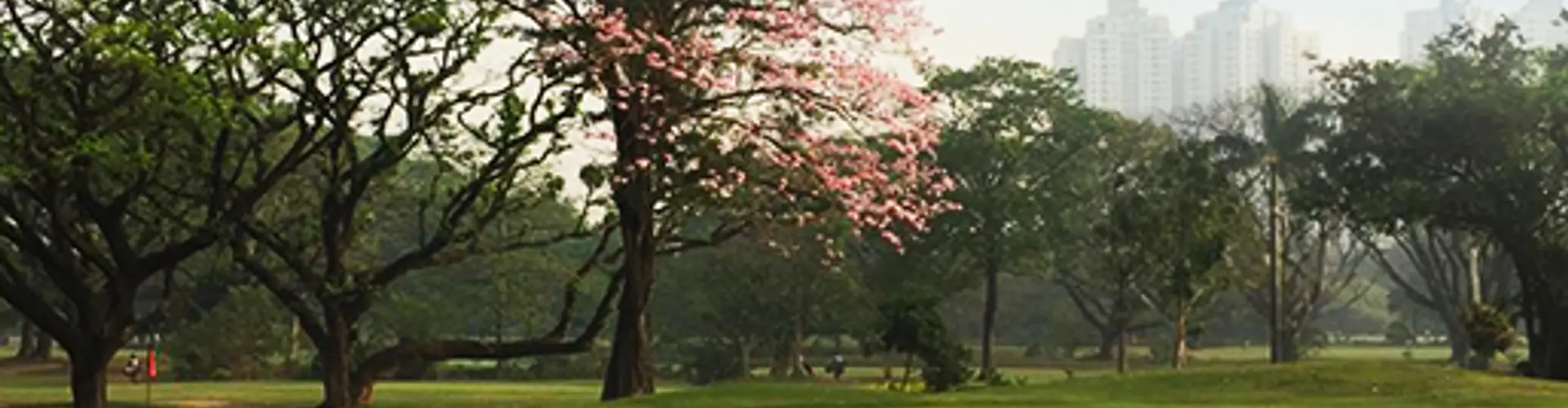 Royal Calcutta Golf Club