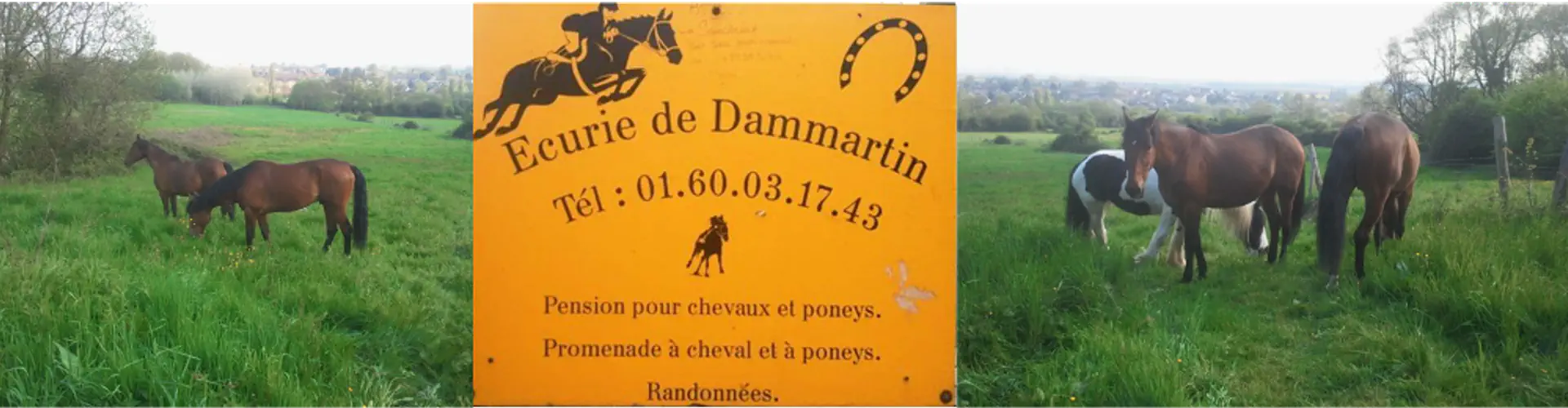 Horse Stables Dammartin
