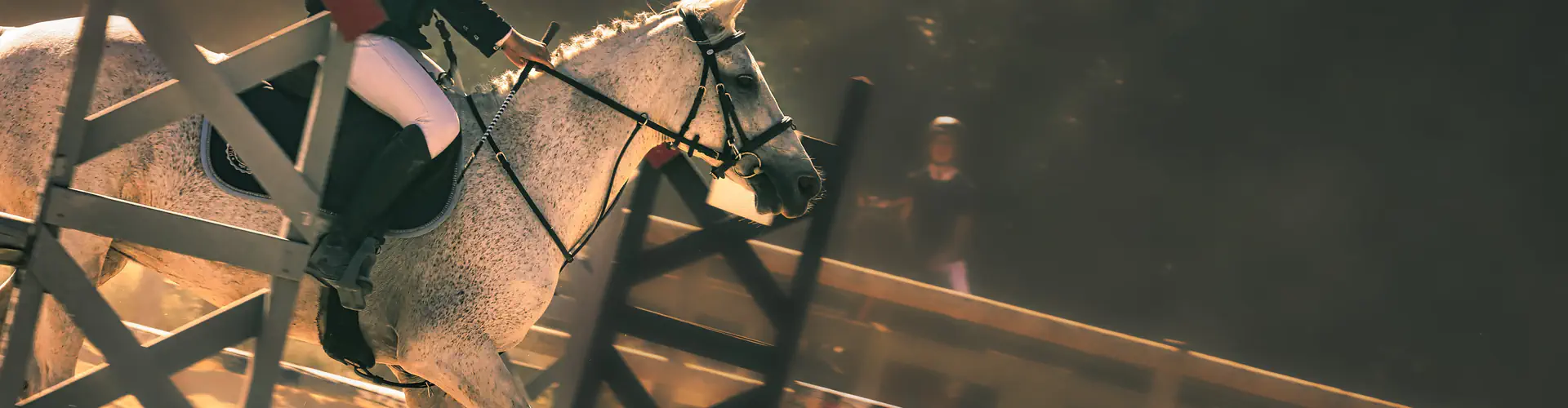 Kerguélen Equitation