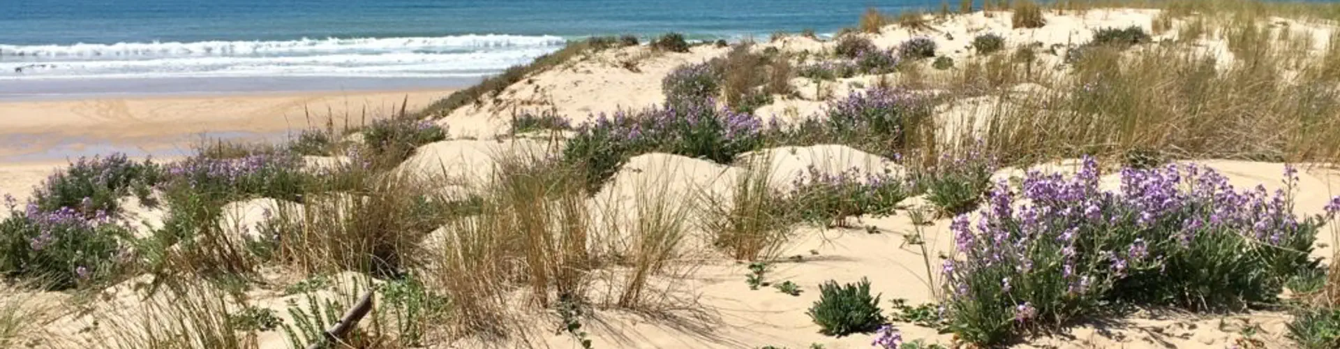Surfcamp pour adolescents du 7 au 13 juillet 2024