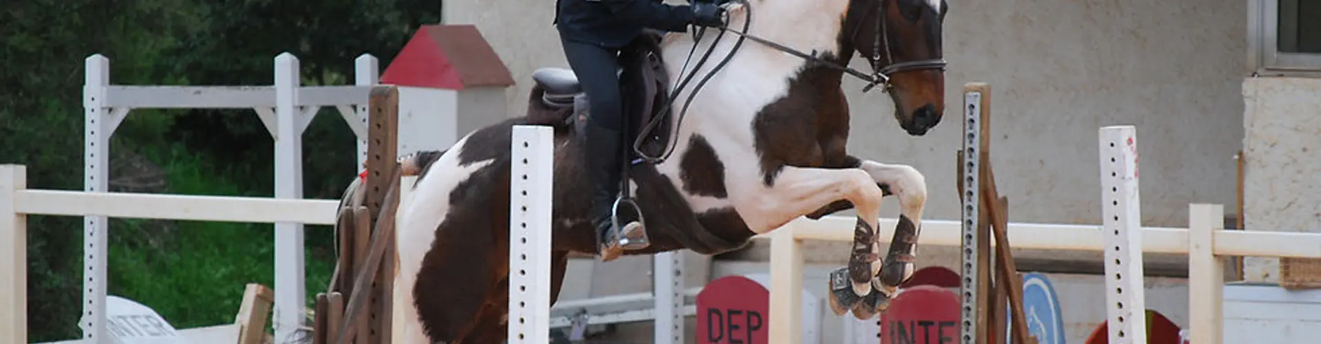 Centre Equestre Le Nénuphar