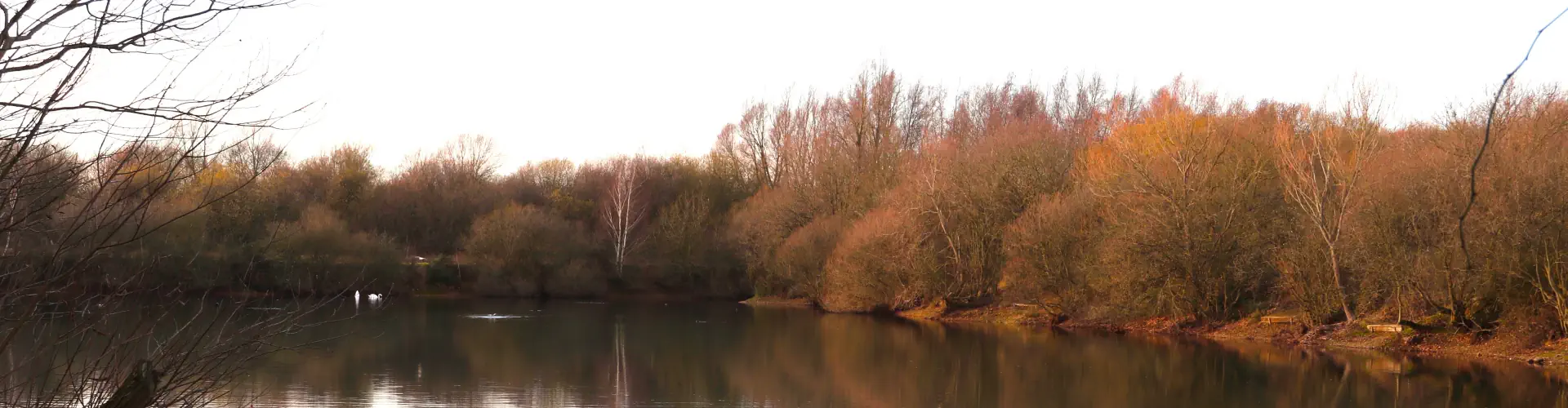 Colchester Angling Preservation Society