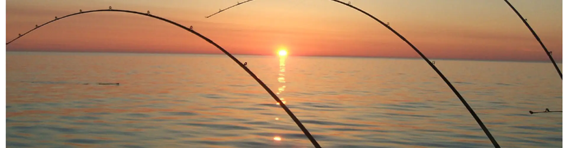 PEI Deep Sea Fishing Charters at Covehead Harbor