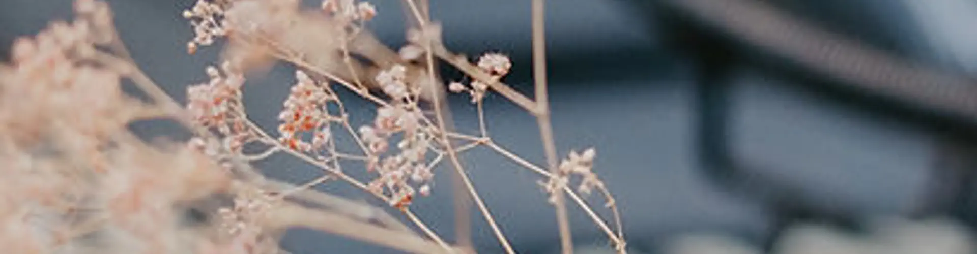 Alexis COSTEIRA praticien en hypnose, magnétise et cartomancie à Villars les Dombes AIN