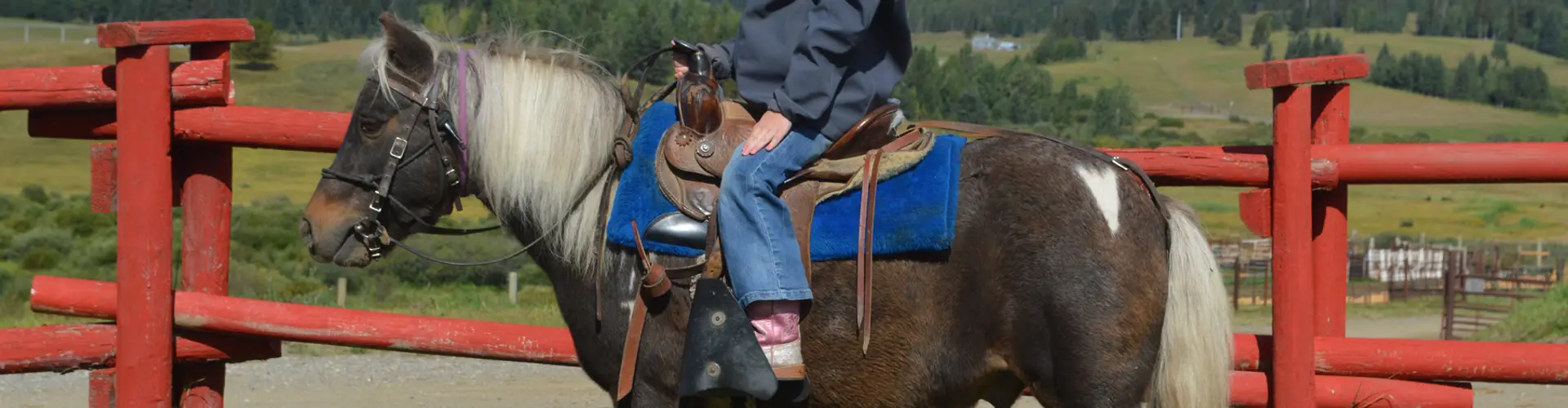 Summer Camps at Bar JO Ranch