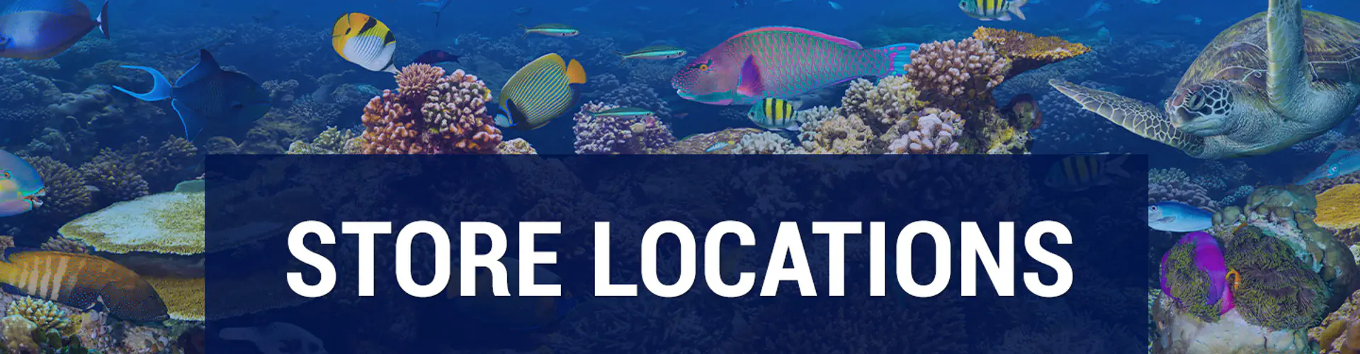 Big Al's Aquarium Supercentres - Vaughan