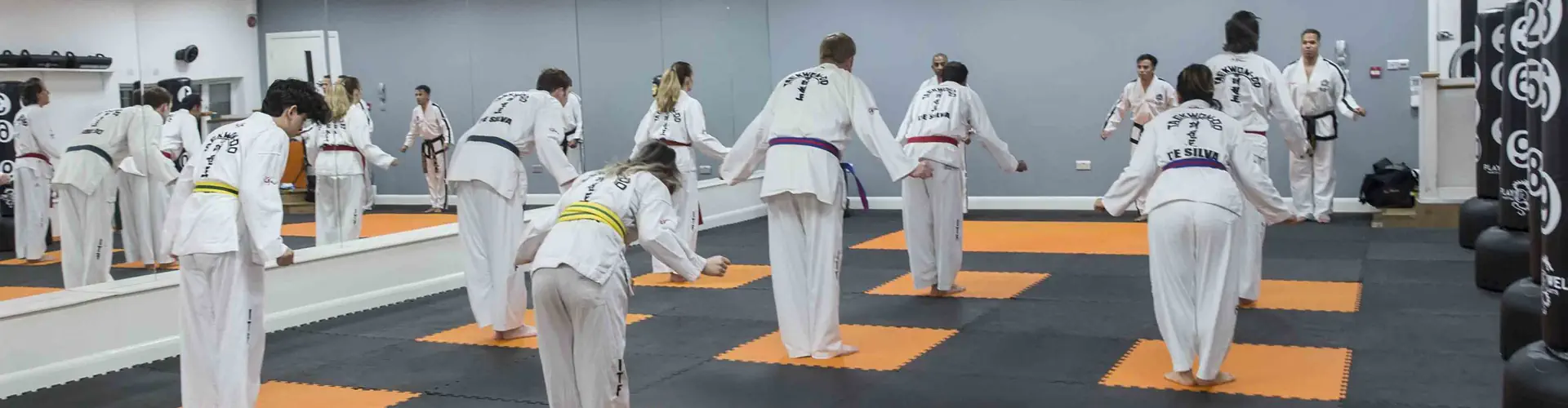 De Silva Taekwondo - Ealing