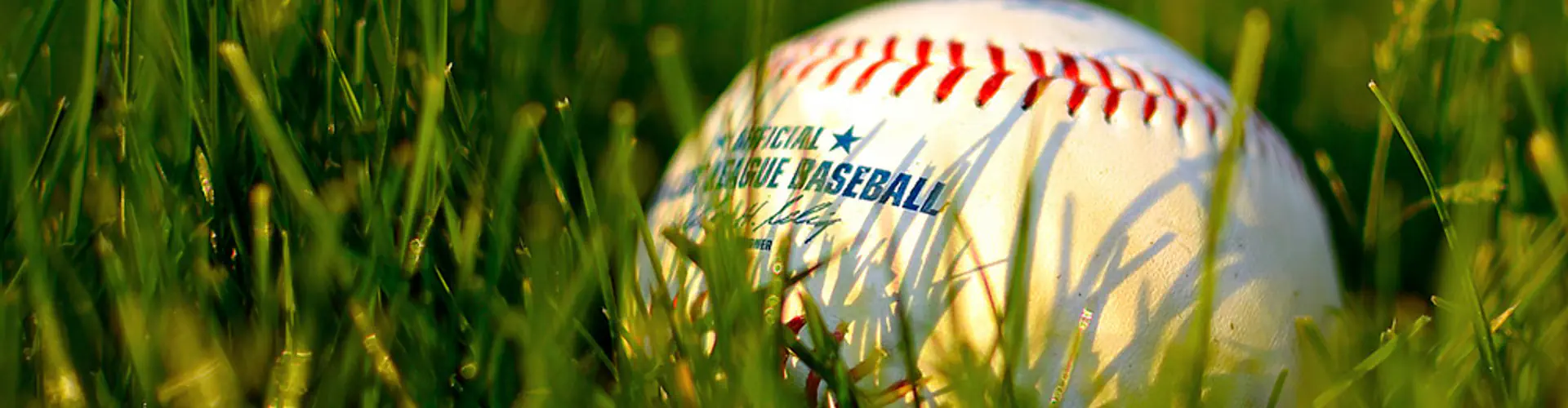 Baseball West Island Senior League